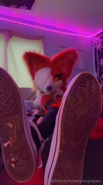 Mot / sakurasgotgass / sakurasgotgas nude photo #1