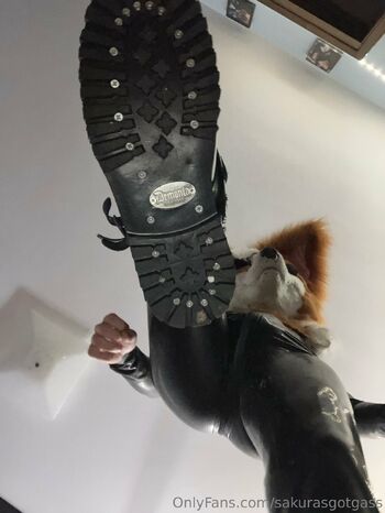 Mot / sakurasgotgass / sakurasgotgas nude photo #3