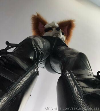 Mot / sakurasgotgass / sakurasgotgas nude photo #4