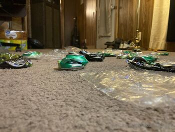 Mot / sakurasgotgass / sakurasgotgas nude photo #8