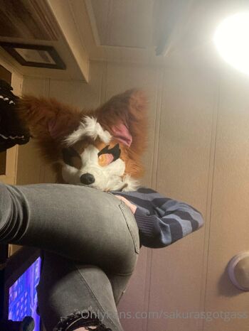 Mot / sakurasgotgass / sakurasgotgas nude photo #10