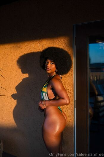 Saleema Fre / saleemamfree nude photo #34
