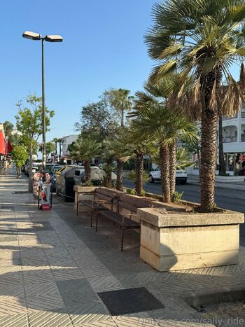 Sally Lex / sally_ride nude photo #26