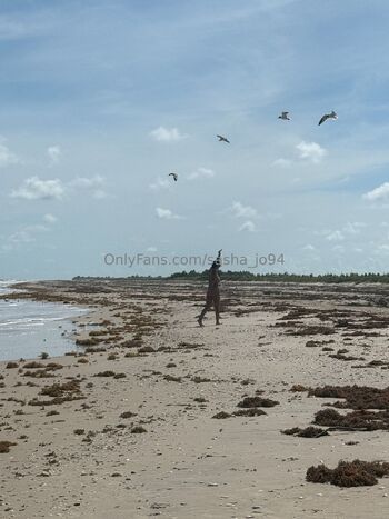 Sasha / sasha_jo94 nude photo #17