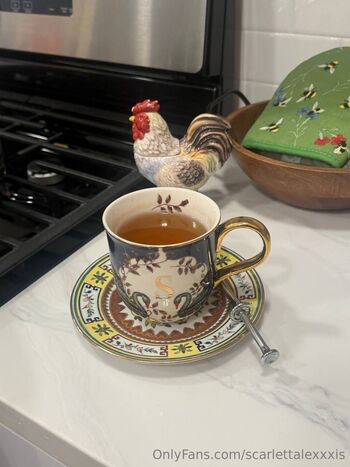 Scarlett Alexi / scarlettalexxxis nude photo #4