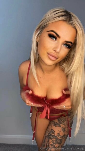 Scarlett Fox Naughty Blond / scarlettfoxvip nude photo #10