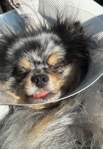 Serena Becker / serenabeckervip nude photo #2