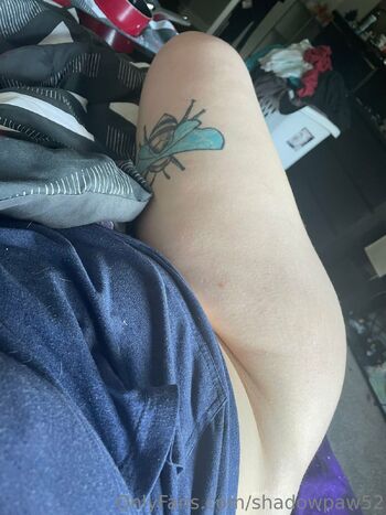 Kat / shadowpaw52 / lewdpaw1 nude photo #2