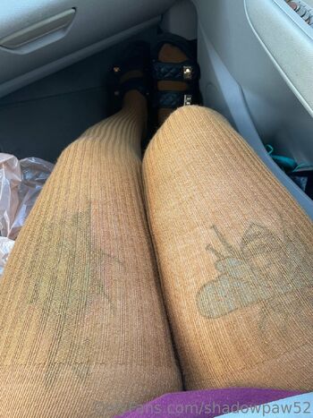 Kat / shadowpaw52 / lewdpaw1 nude photo #23