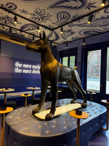 Shameless S / shameless_sg nude photo #17