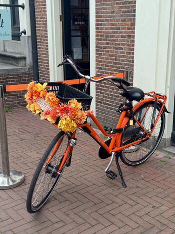 Shameless S / shameless_sg nude photo #19