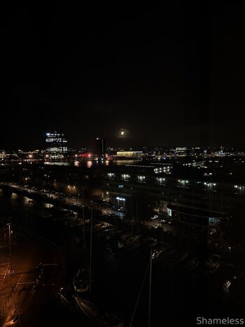 Shameless S / shameless_sg nude photo #20