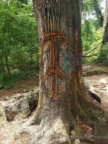 Cute Nerd / shasha_meow nude photo #32