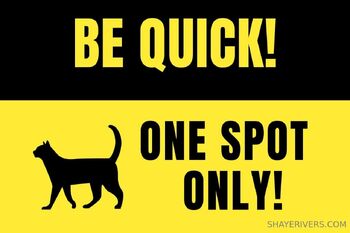 Shaye KINKY REDHEAD / shayerivers nude photo #24