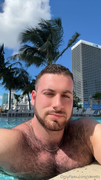 Shred / shreds nude photo #6