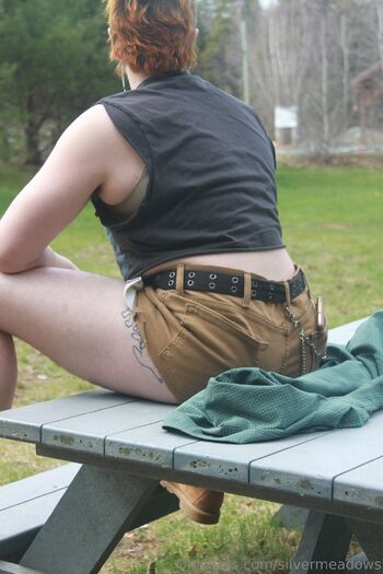 Silver Meadow / silvermeadows nude photo #14