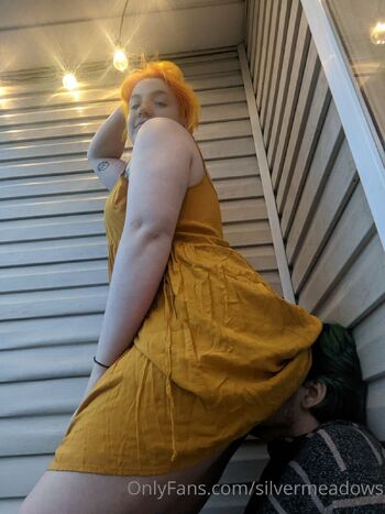 Silver Meadow / silvermeadows nude photo #21