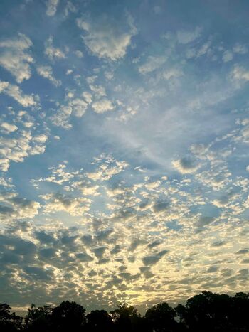 Jade Love (FREE / sincerelyxjade_free nude photo #25