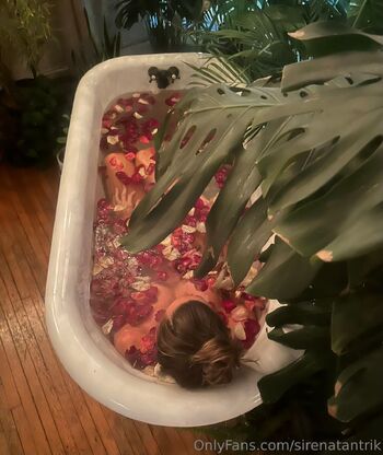 SIRENATANTRIK Sexting / sirenatantrik nude photo #35