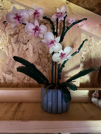 lyrichelianthu / snowtrinii nude photo #32