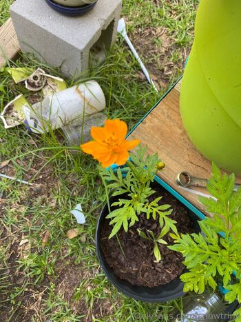 lyrichelianthu / snowtrinii nude photo #33