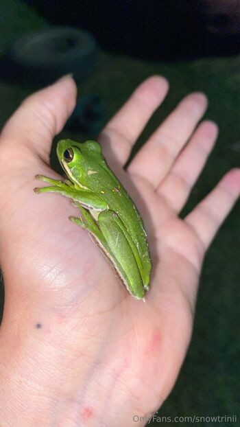 lyrichelianthu / snowtrinii nude photo #35