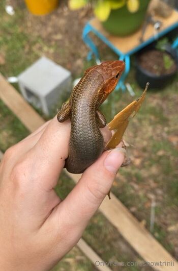 lyrichelianthu / snowtrinii nude photo #36