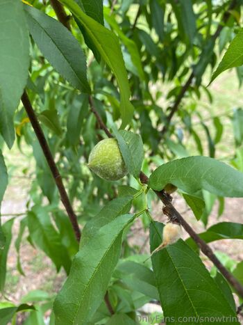 lyrichelianthu / snowtrinii nude photo #38