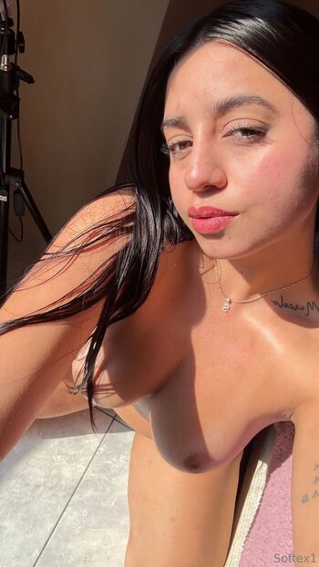 SOFVC / softex1 nude photo #39