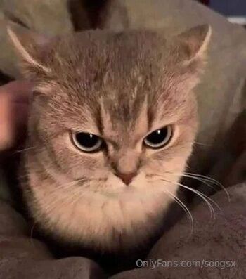 soogs / soogsx nude photo #19