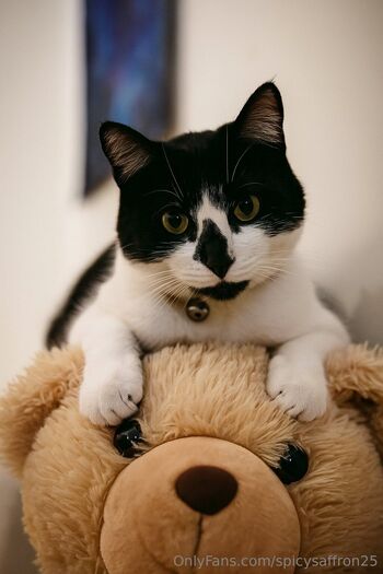 SpicySaffro / spicysaffron25 nude photo #5