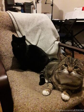 Spider.Dijo / spiderdijon nude photo #4