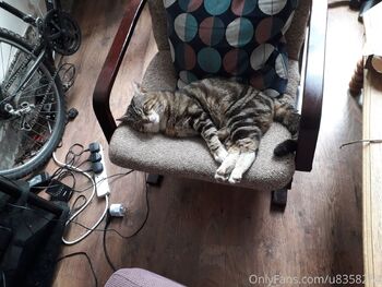 Spider.Dijo / spiderdijon nude photo #6