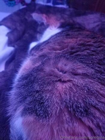 Sleeping Queen Regina Cospla / sqregina nude photo #34