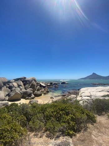 OnlyFans / sunflowergirlza nude photo #13