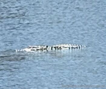 Sunn / sunni_daize nude photo #16