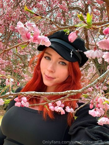 Sweetie Fox FREE PAG / sweetiefox_of_free nude photo #3