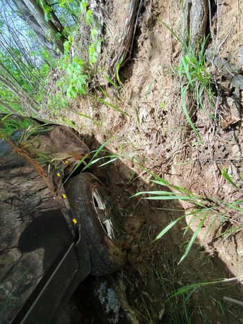 TasTiTeas / tastitease nude photo #32