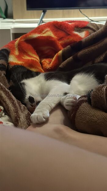 Taylor (18) / teentaylor nude photo #15