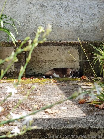 The Real Ninja Girl / the.real.ninja.girl nude photo #7