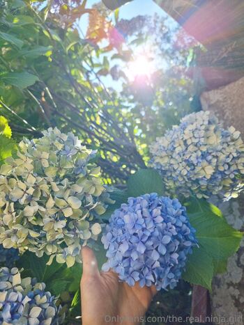 The Real Ninja Girl / the.real.ninja.girl nude photo #19