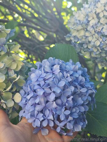 The Real Ninja Girl / the.real.ninja.girl nude photo #24