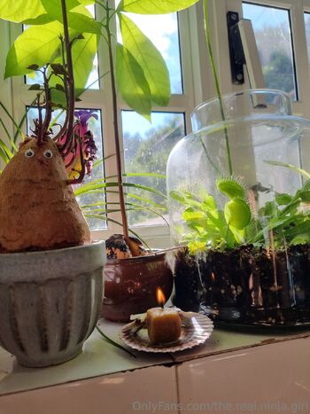 The Real Ninja Girl / the.real.ninja.girl nude photo #29