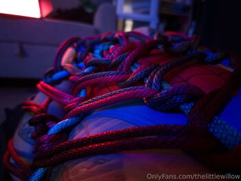 Willo / thelittlewillow / thelittlewillow_ / littl3willow nude photo #6