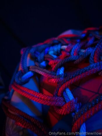 Willo / thelittlewillow / thelittlewillow_ / littl3willow nude photo #7