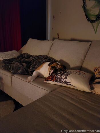 TheMissCha / themisschan nude photo #30