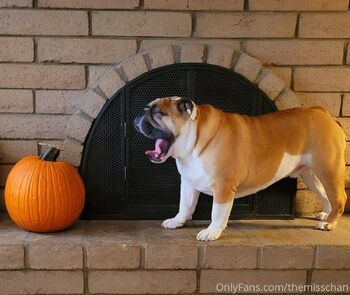 TheMissCha / themisschan nude photo #38