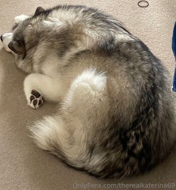 TheRealKaterin / therealkaterina69 nude photo #1