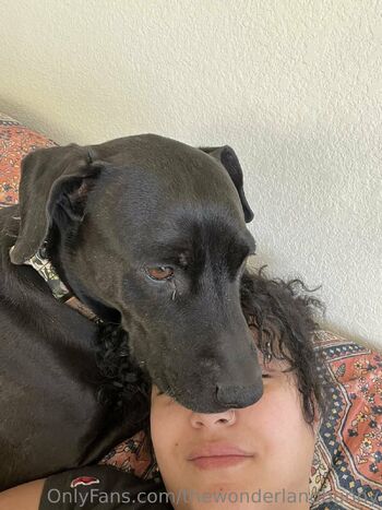 H. / thewonderlandbunny nude photo #7