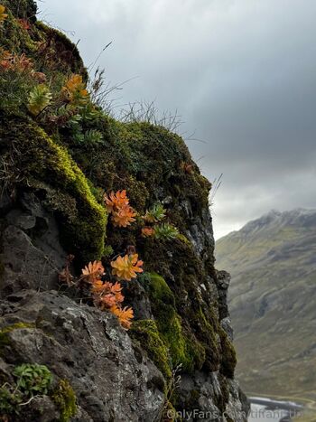 Tiffani Tim / tiffani_time nude photo #3